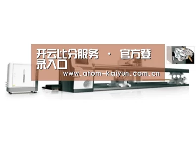 案例展示五