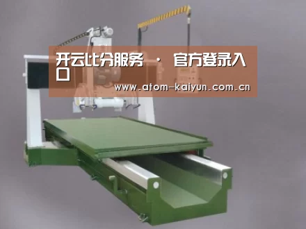 产品名称十