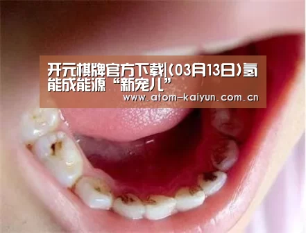 开云体育官网